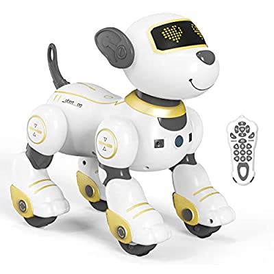 Robot-pas namenjen igri uz daljinsko upravljanje.