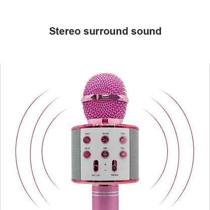 Mikrofon za karaoke koji podržava reprodukciju sa USB uređaja.